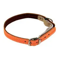 Katthalsband reflex slät orange