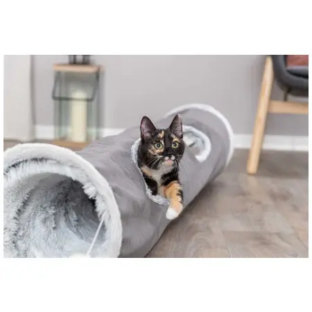 Klicka för större bild