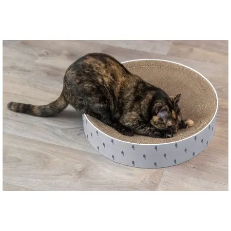 Klicka för större bild