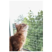 Kattnät transparent 6 x 3 cm