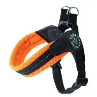 Kattsele Tre Ponti Justerbar mesh Orange Strl 1