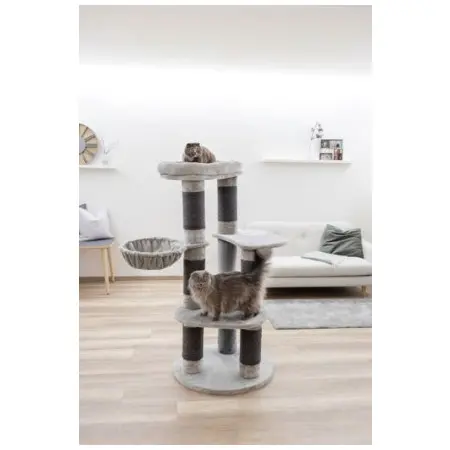 Klicka för större bild