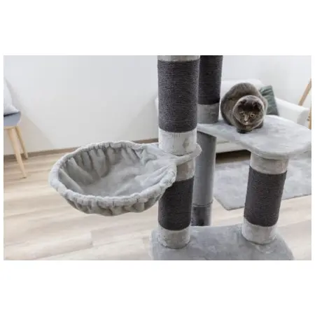 Klicka för större bild