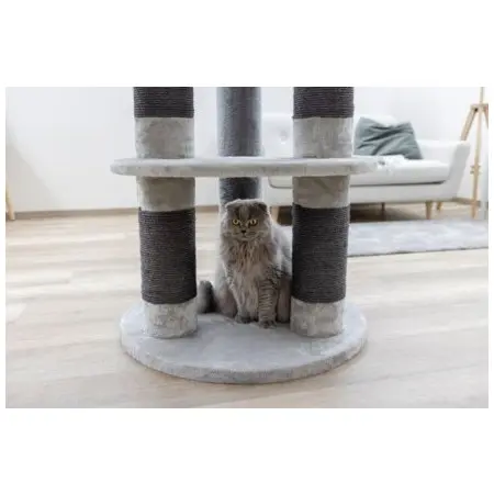 Klicka för större bild