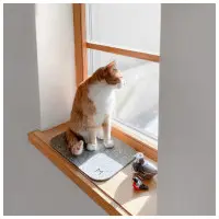 MIKASTE MIKS Kattdyna Mini