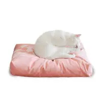 PADI modern catbed rose