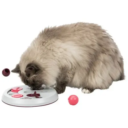 Klicka för större bild