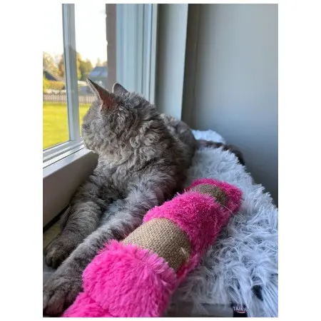 Klicka för större bild