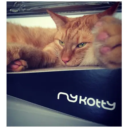 Klicka för större bild