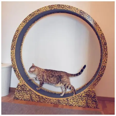 Klicka för större bild