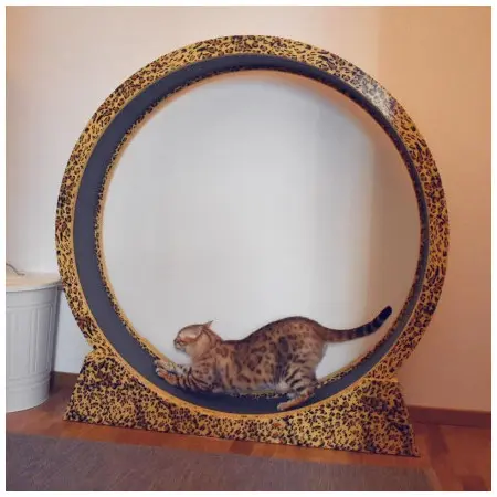 Klicka för större bild