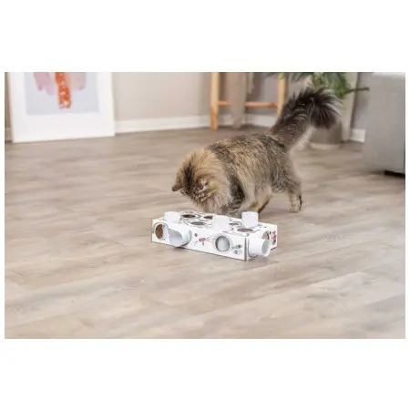 Klicka för större bild