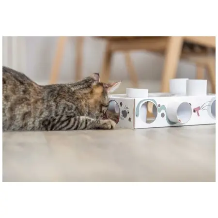 Klicka för större bild