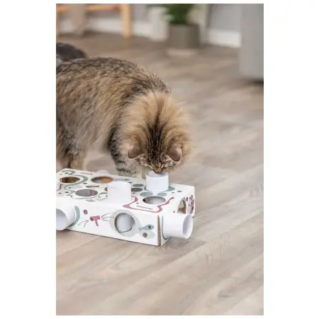 Klicka för större bild