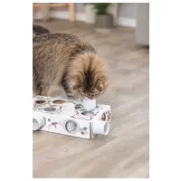 Cat Activity Paws'n'Treats Box