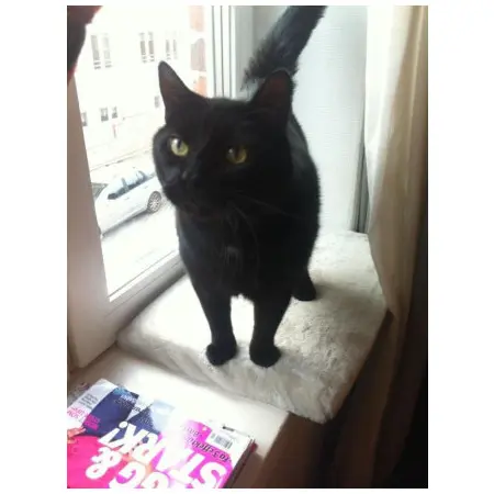 Klicka för större bild