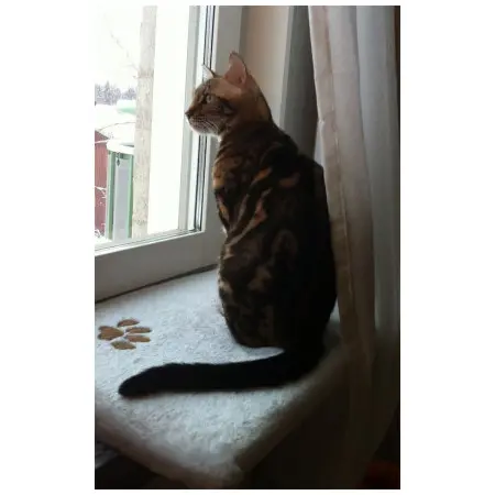 Klicka för större bild