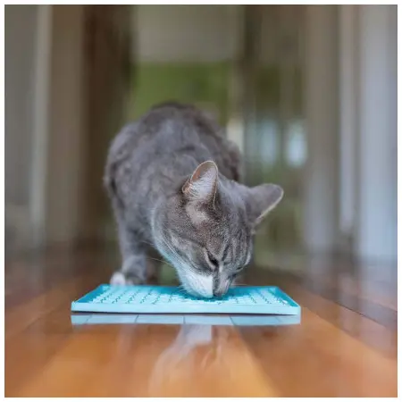 Klicka för större bild