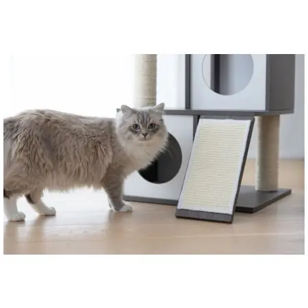 Klicka för större bild