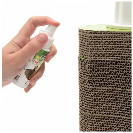 Klicka för större bild