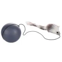 Crazy ball with mouse