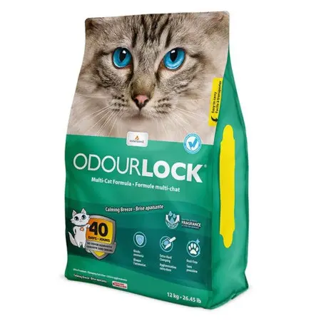 Klicka för större bild