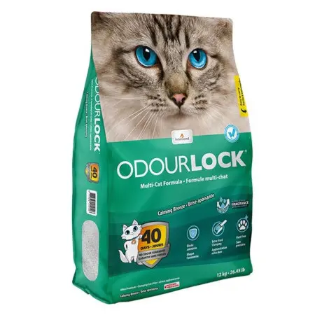 Klicka för större bild