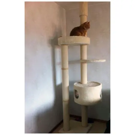 Klicka för större bild