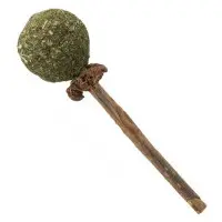 Kattleksak Matatabi Lolly