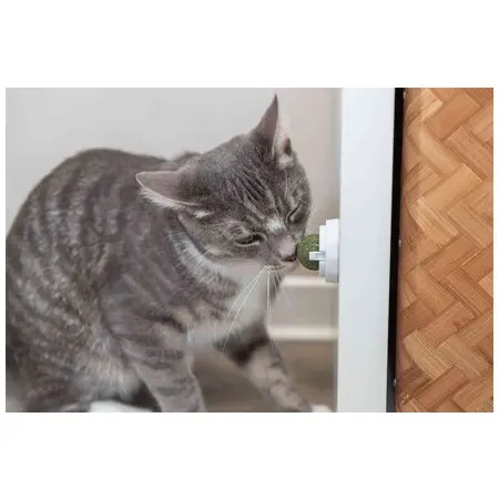 Klicka för större bild