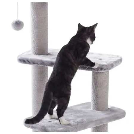 Klicka för större bild