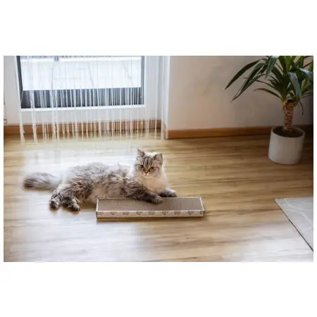 Klicka för större bild