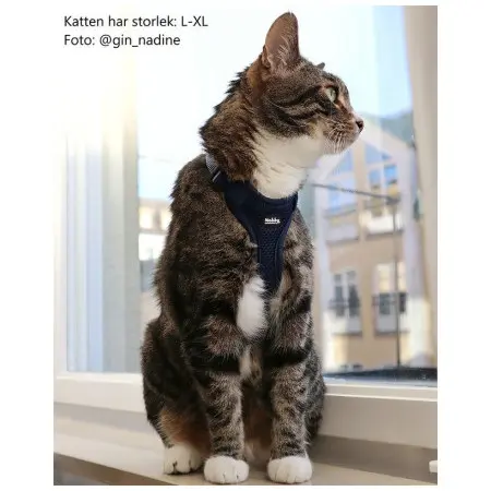 Klicka för större bild