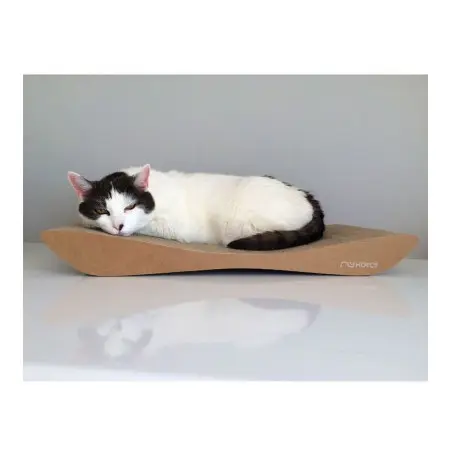 Klicka för större bild