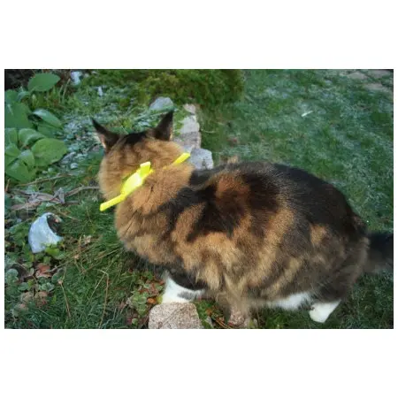 Klicka för större bild