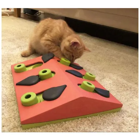 Klicka för större bild