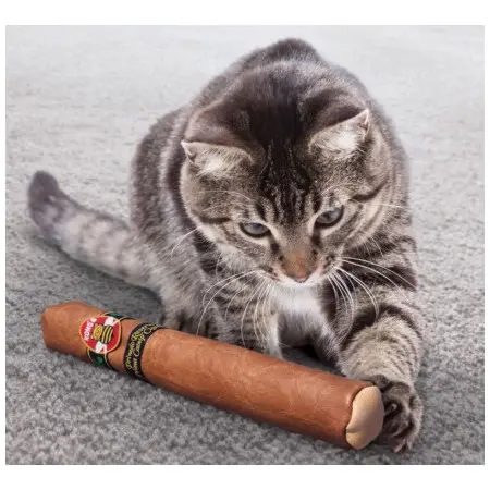 Klicka för större bild