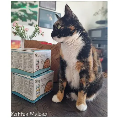 Klicka för större bild