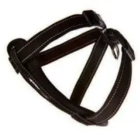 Ezydog kattsele svart, med bilbältes-hållare XXS