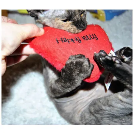 Klicka för större bild