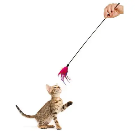 Klicka för större bild