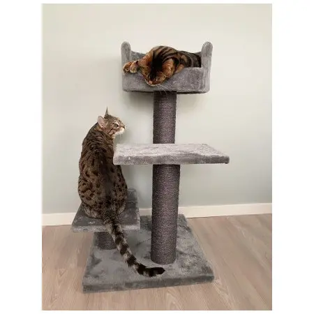 Klicka för större bild