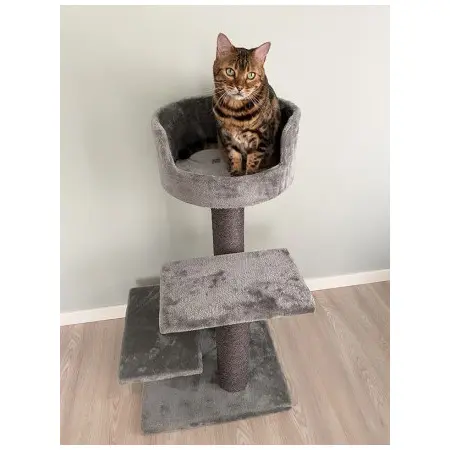 Klicka för större bild