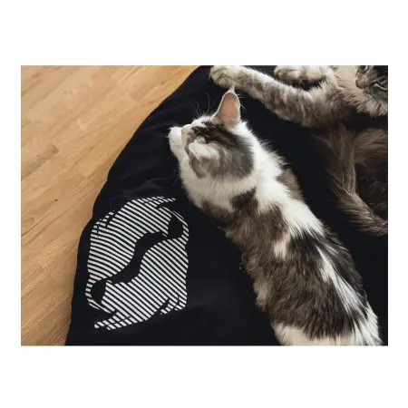 Klicka för större bild