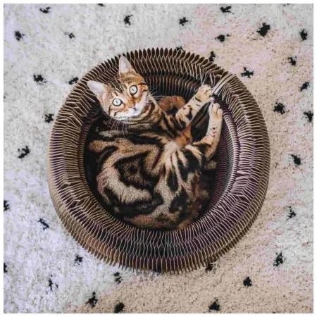 Klicka för större bild