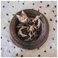 Kattbädd District 70 MAZE