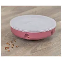 Cat Activity Rocking Maze