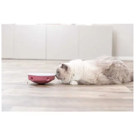 Klicka för större bild