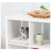 Harvey liten dyna (passar Expedit och Kallax)