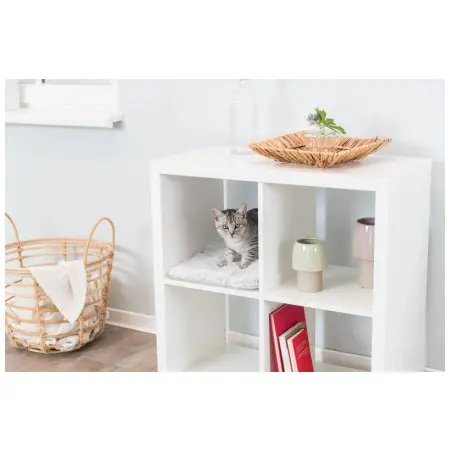 Klicka för större bild